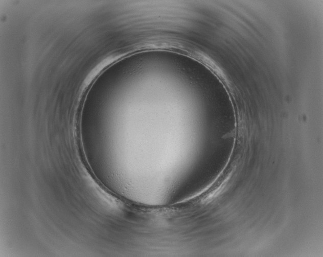 X0000071960803200607141433