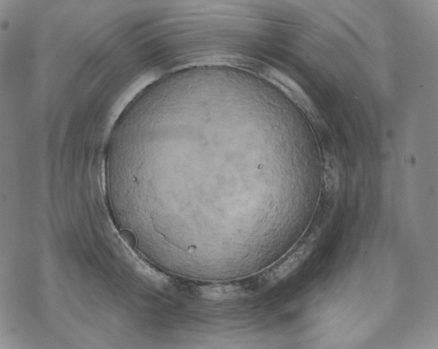 X0000071960804200607141433