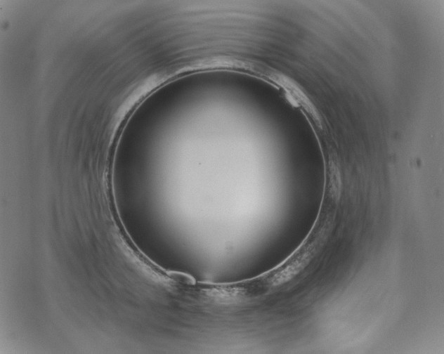 X0000071960805200607141433