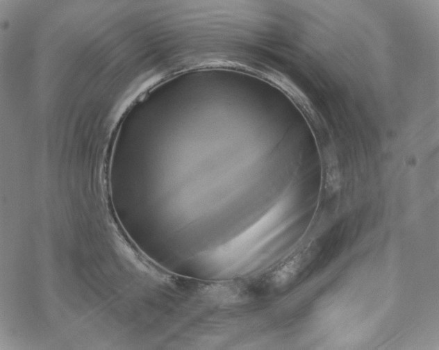 X0000071960806200607141433