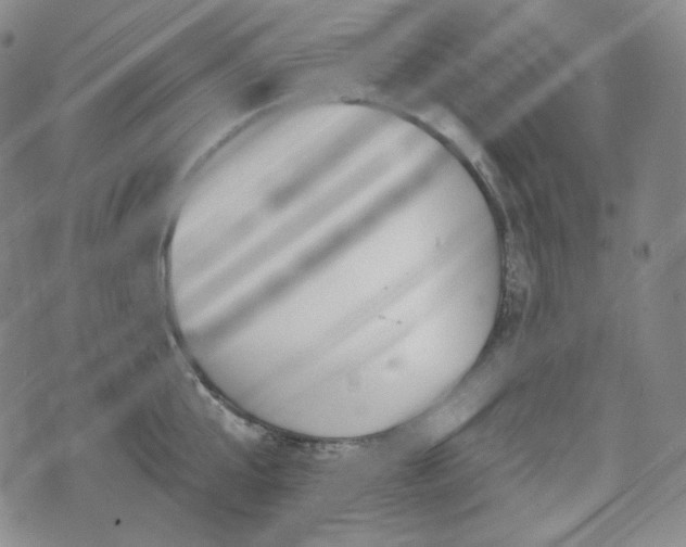 X0000071960807200607141433