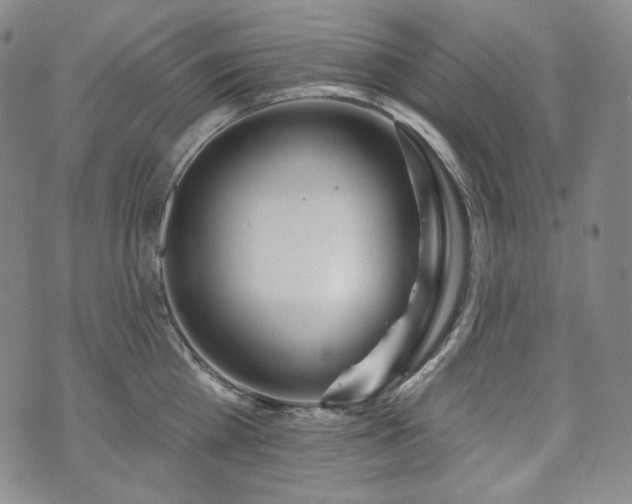 X0000071960809200607141433