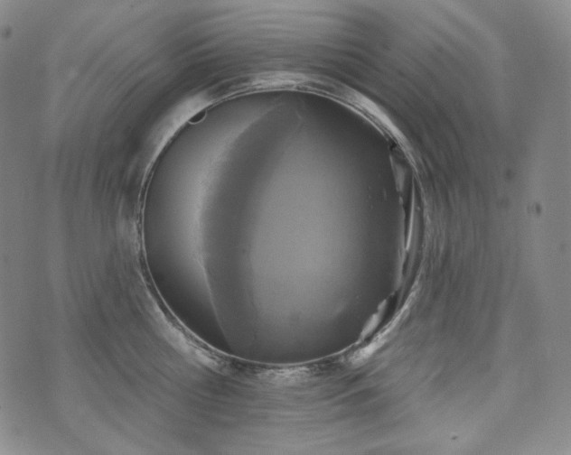 X0000071960810200607141433