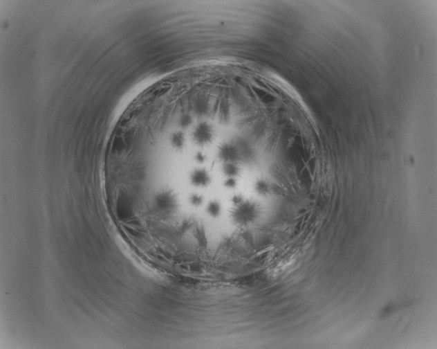 X0000071960811200607141433