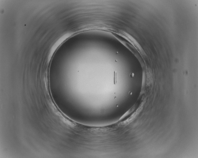 X0000071960812200607141433