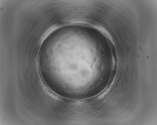 X0000071960814200607141433