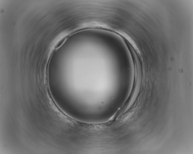 X0000071960815200607141433