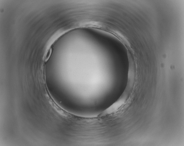 X0000071960816200607141433