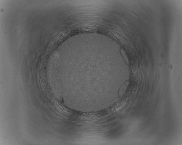 X0000071960817200607141432