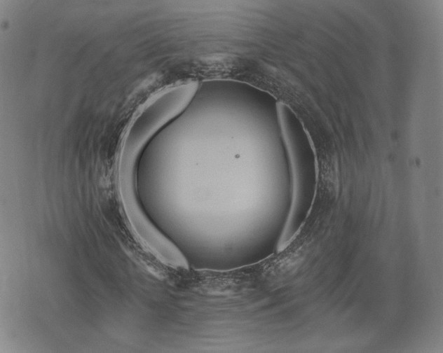 X0000071960818200607141432