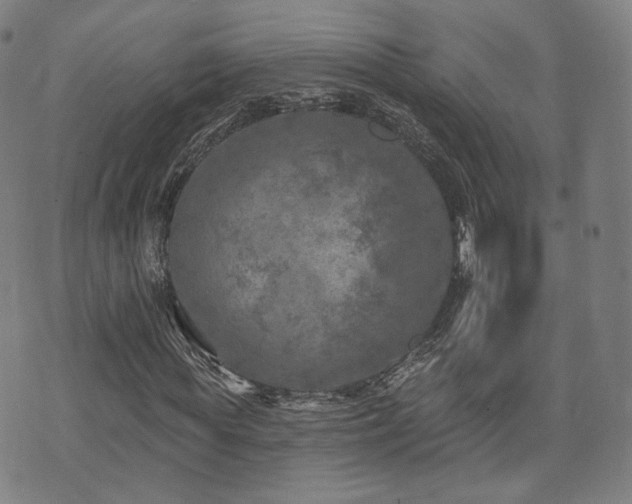 X0000071960819200607141432