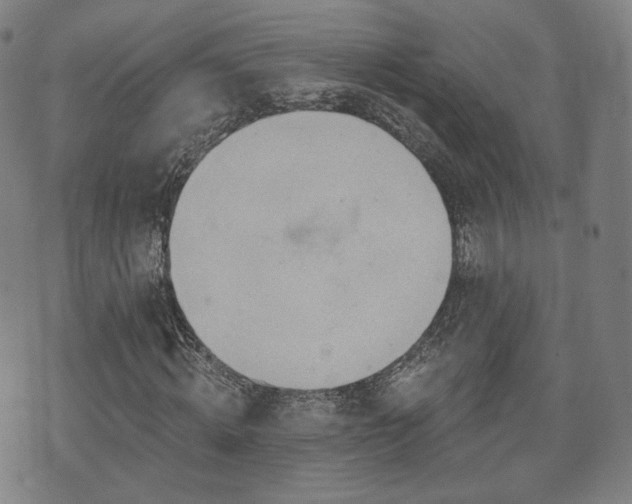 X0000071960820200607141432