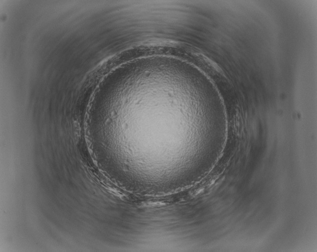 X0000071960821200607141432