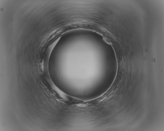 X0000071960822200607141432