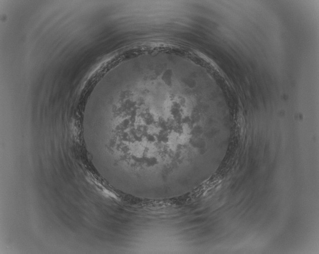 X0000071960823200607141432