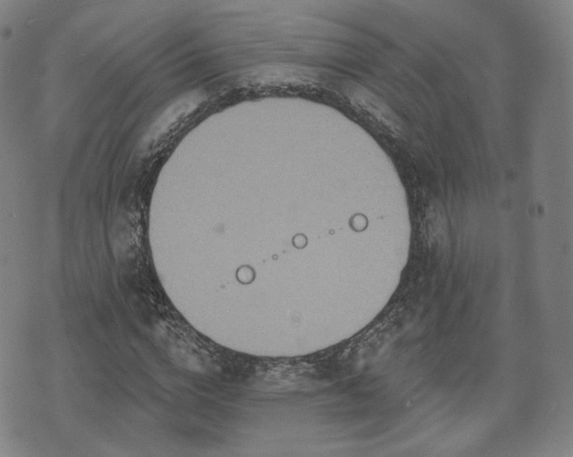 X0000071960824200607141432