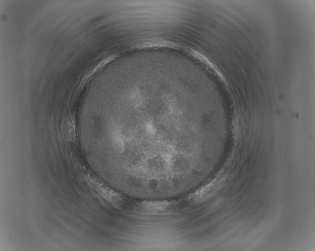 X0000071960825200607141432