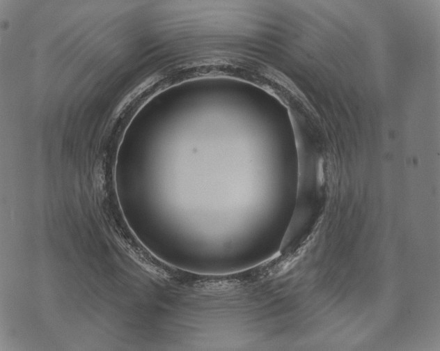 X0000071960826200607141432