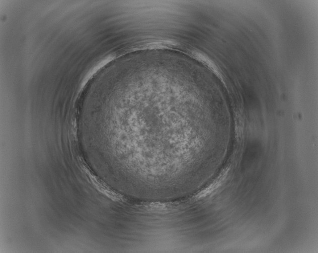 X0000071960827200607141432