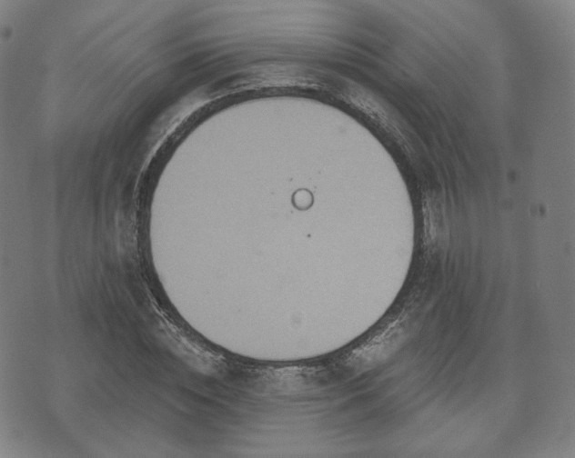 X0000071960828200607141432