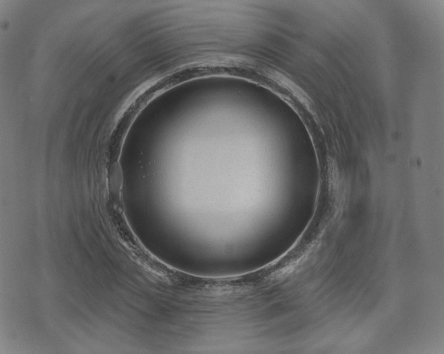 X0000071960829200607141432