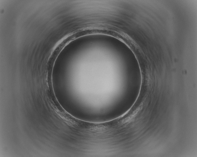 X0000071960830200607141432