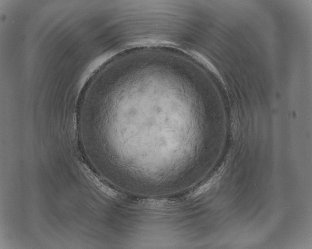 X0000071960831200607141432