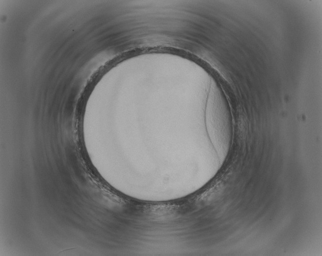 X0000071960832200607141432