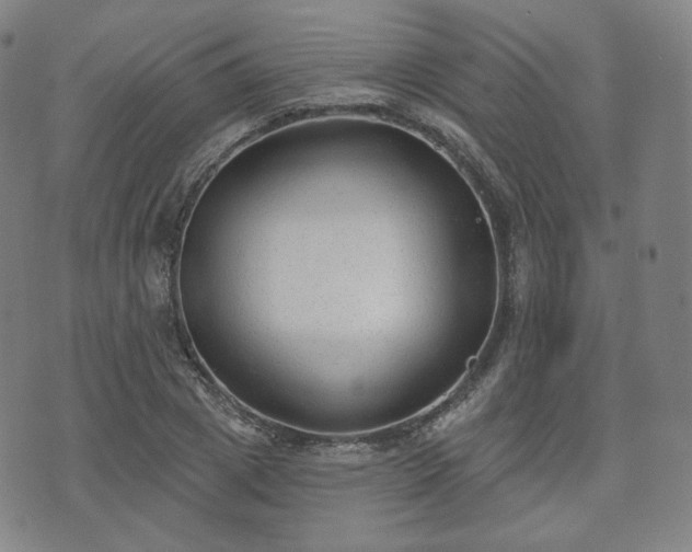 X0000071960833200607141432