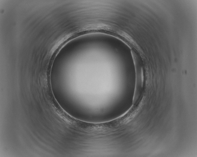 X0000071960834200607141432