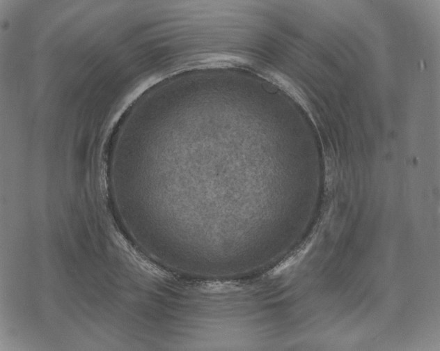 X0000071960835200607141432