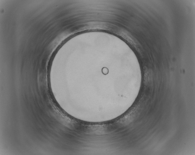 X0000071960836200607141432