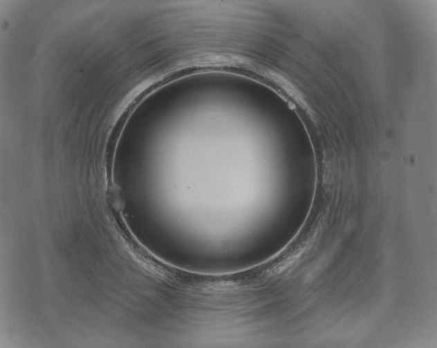 X0000071960837200607141432