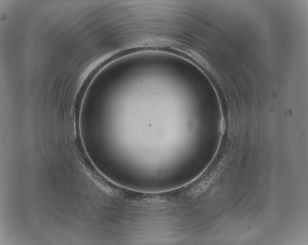 X0000071960838200607141432