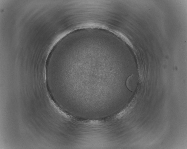 X0000071960839200607141432