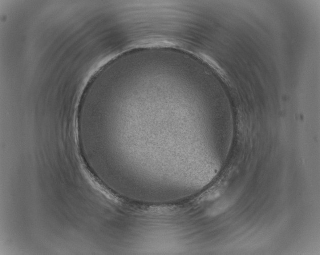 X0000071960840200607141432