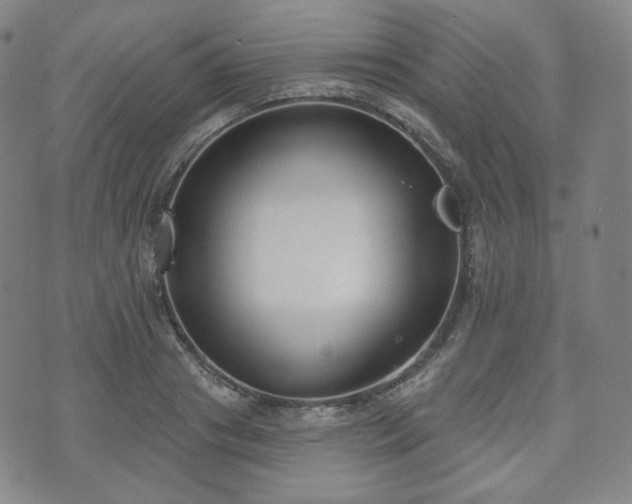 X0000071960841200607141432