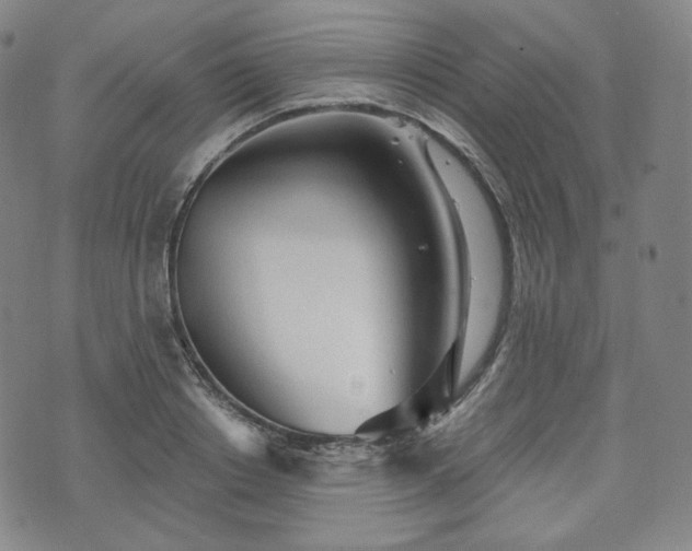 X0000071960842200607141432