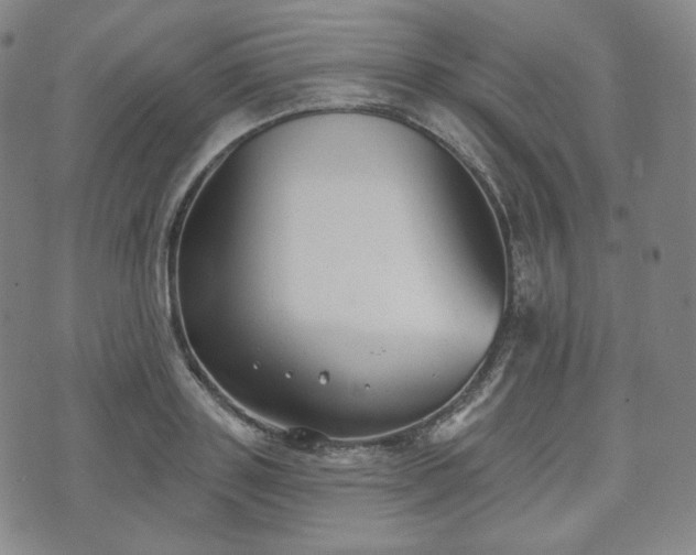 X0000071960843200607141432