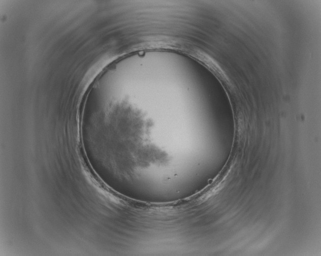 X0000071960844200607141432