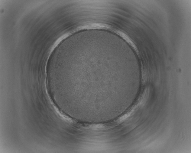 X0000071960845200607141432