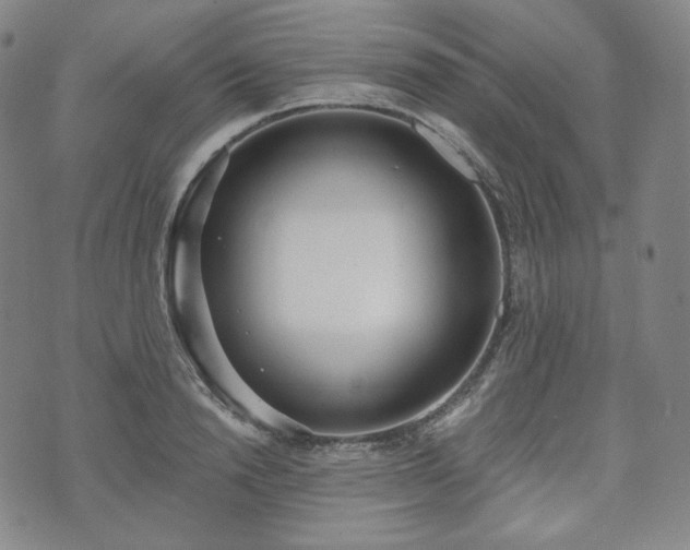 X0000071960846200607141432