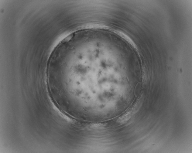 X0000071960847200607141432