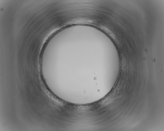 X0000071960848200607141432