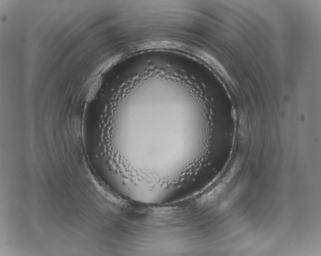 X0000071960849200607141432