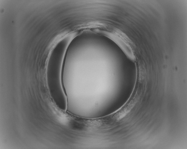 X0000071960850200607141432