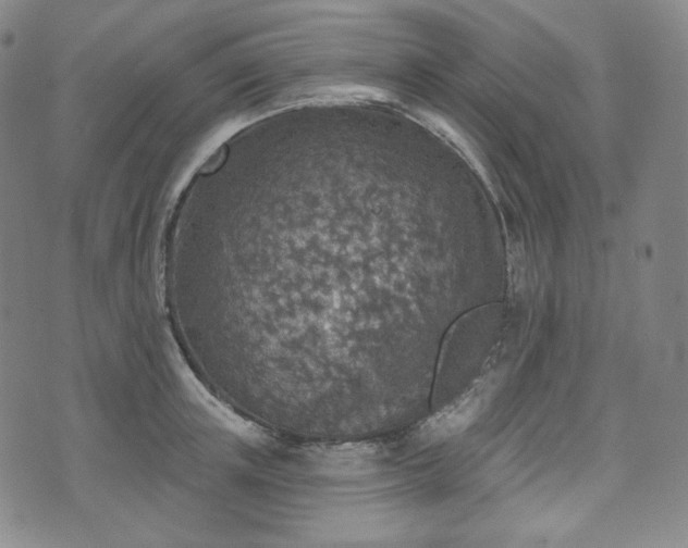 X0000071960851200607141432