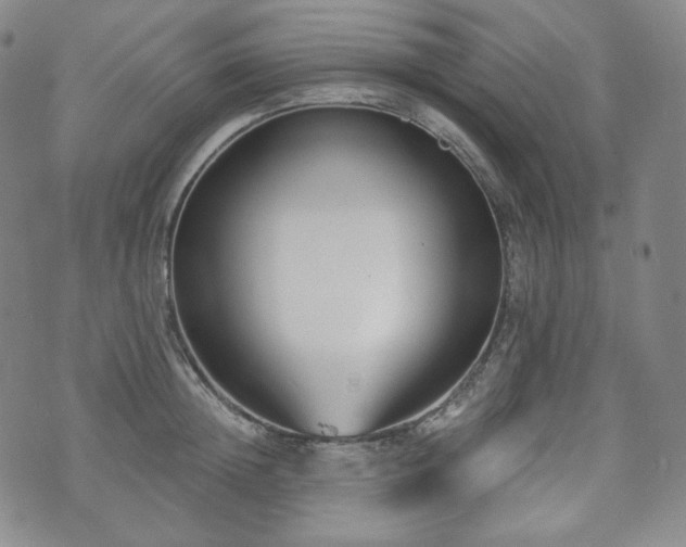 X0000071960852200607141432