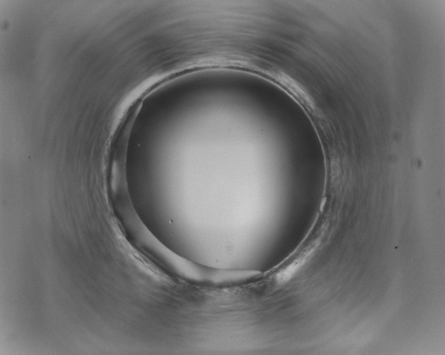 X0000071960854200607141432