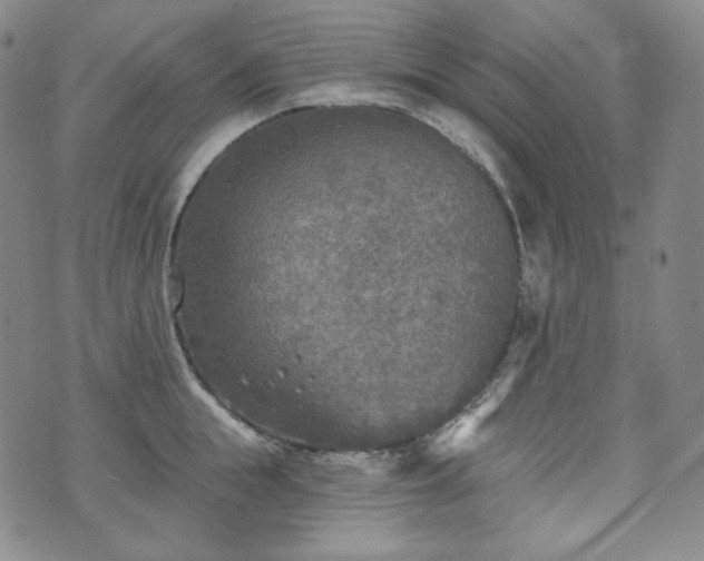 X0000071960855200607141432